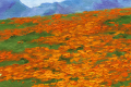An-Exultation-of-Poppies_WS