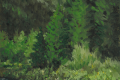 Under-Grey-Skies-the-Stream-Meanders_DARKER_WS